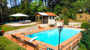 The Lemon Place by Nicola Real Estate Corsanico-Massarosa